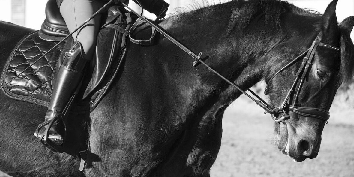Learn how to afford horse riding lessons with smart budgeting tips. Discover affordable options for riders on a tight budget.