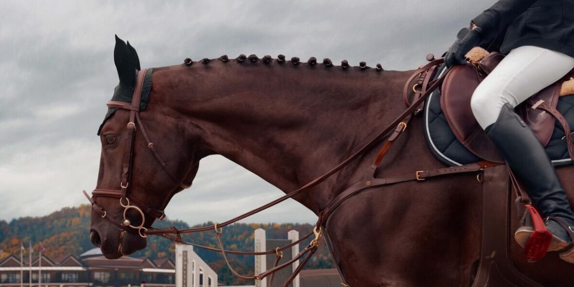 Best Website to Buy Horses