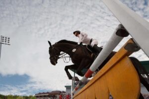 British showjumping
