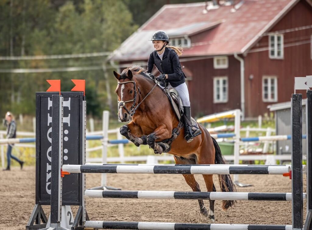 D pony show jumping champions