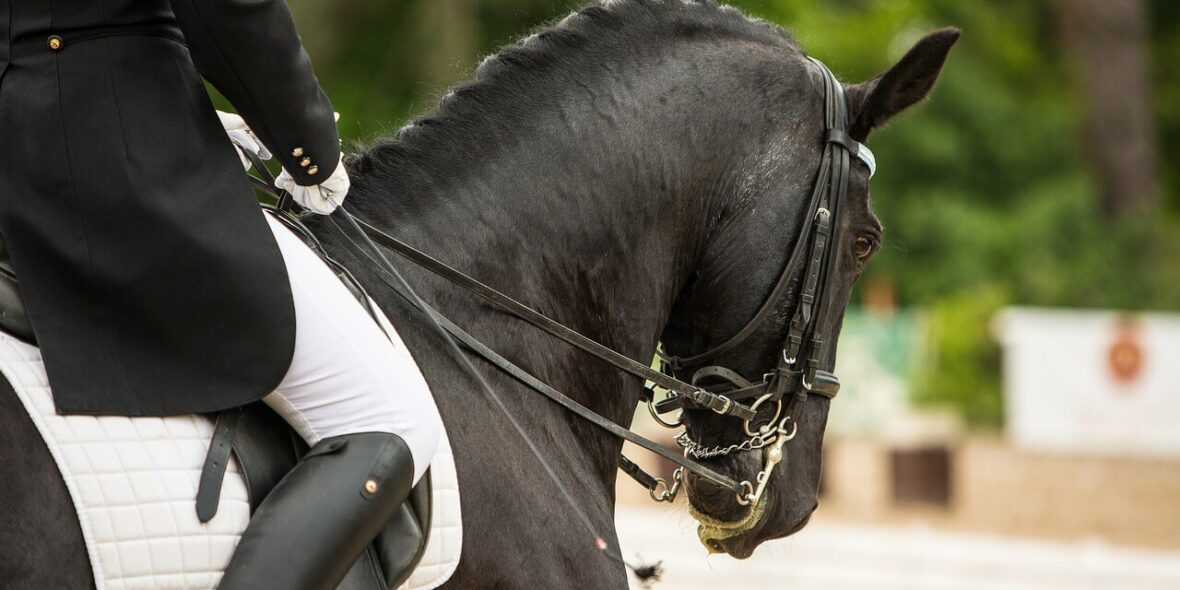 Dressage Jessica von Bredow-Werndl