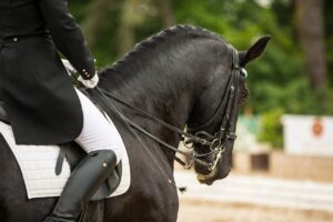 Dressage Jessica von Bredow-Werndl