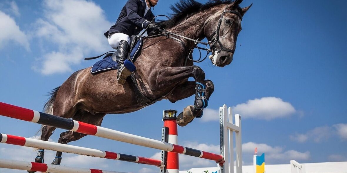 Falsterbo horse show - Skåne - Sverige Falsterbo horse show - Skåne - Sverige