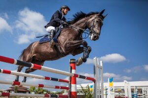 Falsterbo horse show - Skåne - Sverige