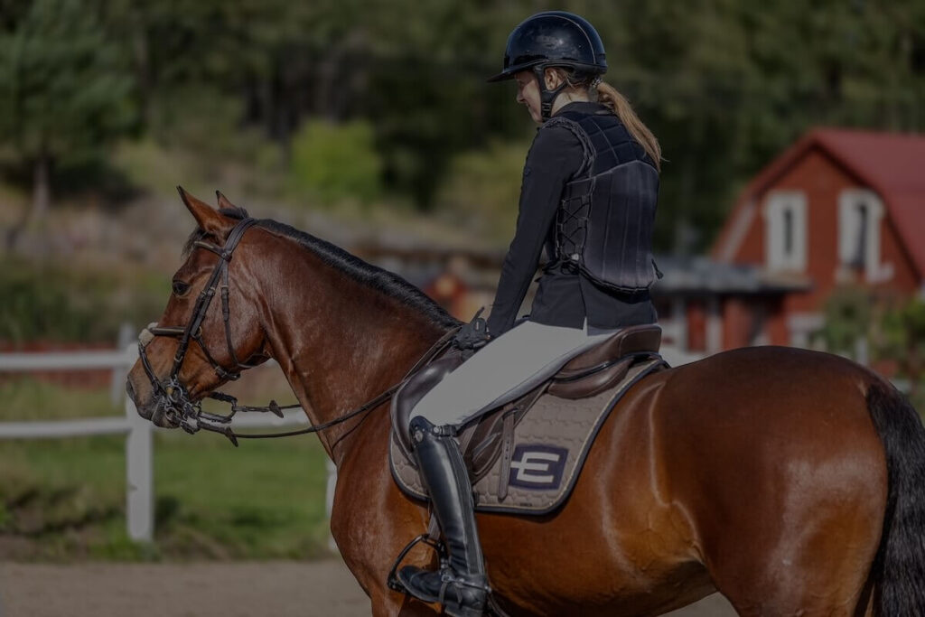 Find your new horse here Forequestrian.com