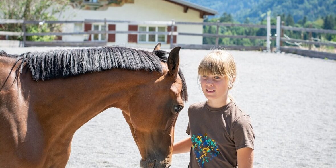 Hobby horses in Germany