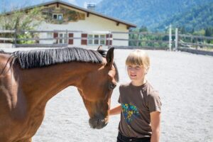 Hobby horses in Germany
