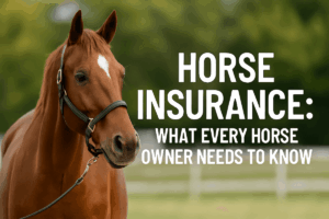 Horse insurance helps protect you from unexpected costs Horse insurance helps protect you from unexpected costs