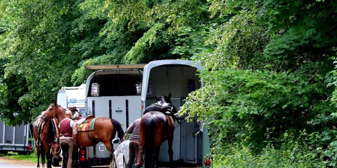 Horse Loading Problems - Horse Transport