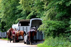 Horse Loading Problems - Horse Transport