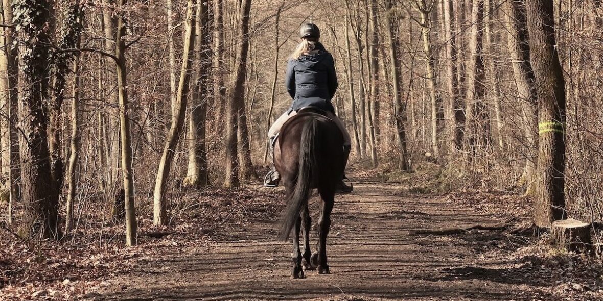 Horse Riding Mistakes Beginners Should Avoid