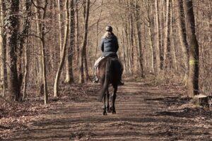 Horse Riding Mistakes Beginners Should Avoid