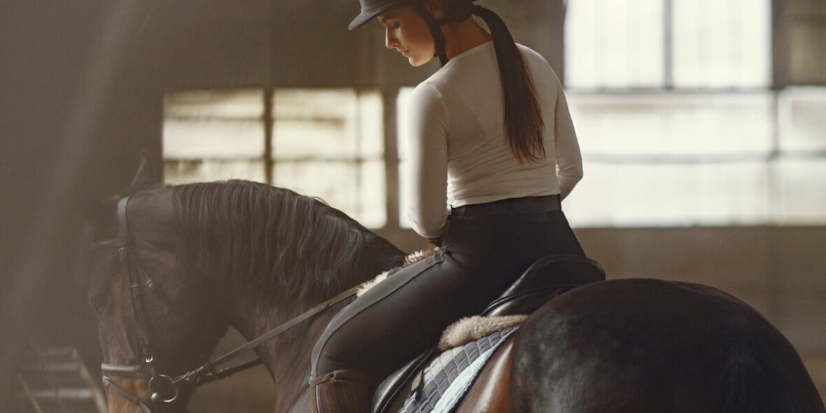 Horse Welfare - Equestrian Sports