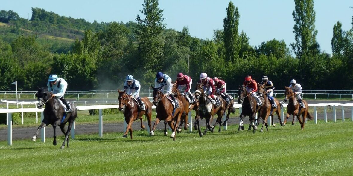 Kentucky Derby racing horses