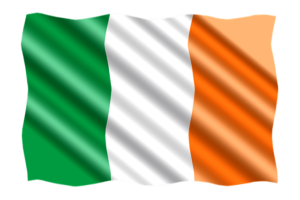 Horses and ponies for sale in Ireland – Irish Draught, Connemara, and more