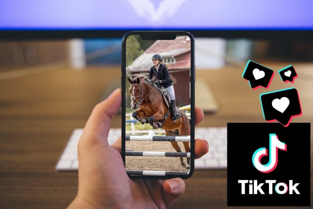 Horses for sell on TikTok