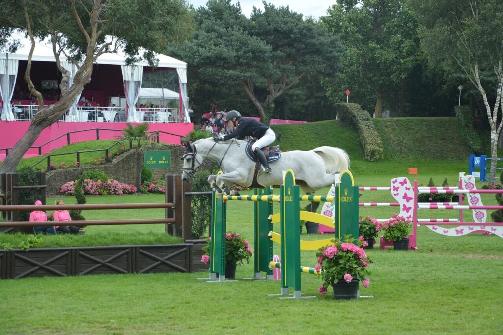 Show jumping horse