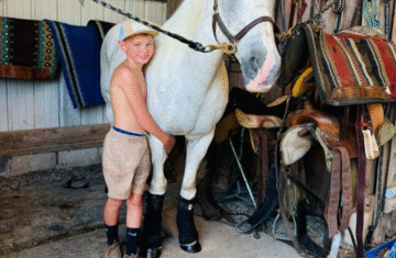 02cb07ac-aa76-4496-bab2-adbe813f80fe_cleanup