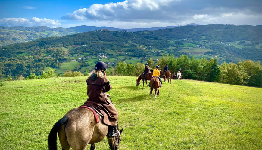 Horse farm in Italy