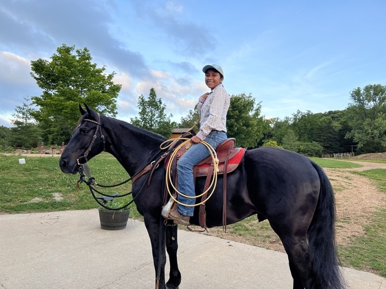 1435477_cash-extra-broke-fun-flashy-clinton-anderson-trained-friesia_photo_6_1655772428_img