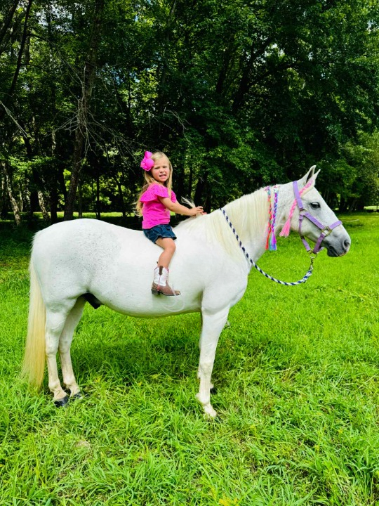 17ed122e-b2be-4691-976b-20512c643065_cleanup