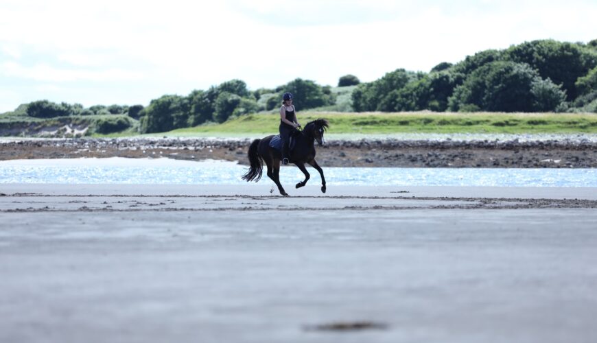 Horse riding holidays in Ireland