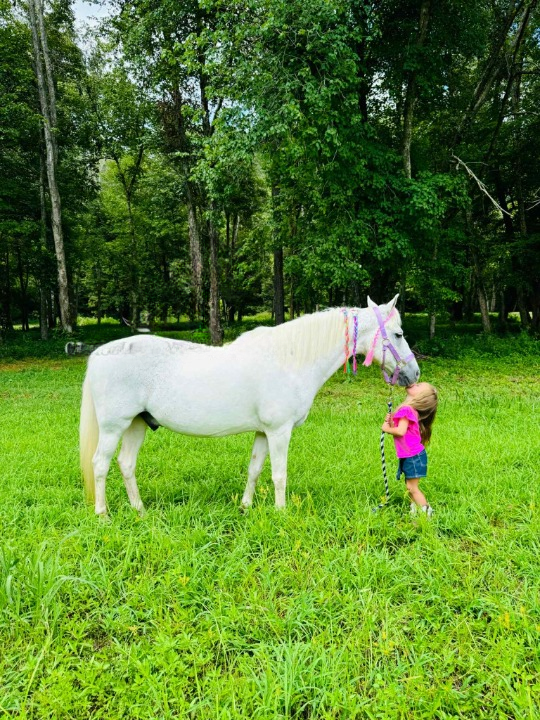 3df3427f-bf1b-420a-898c-46250073ff94_cleanup