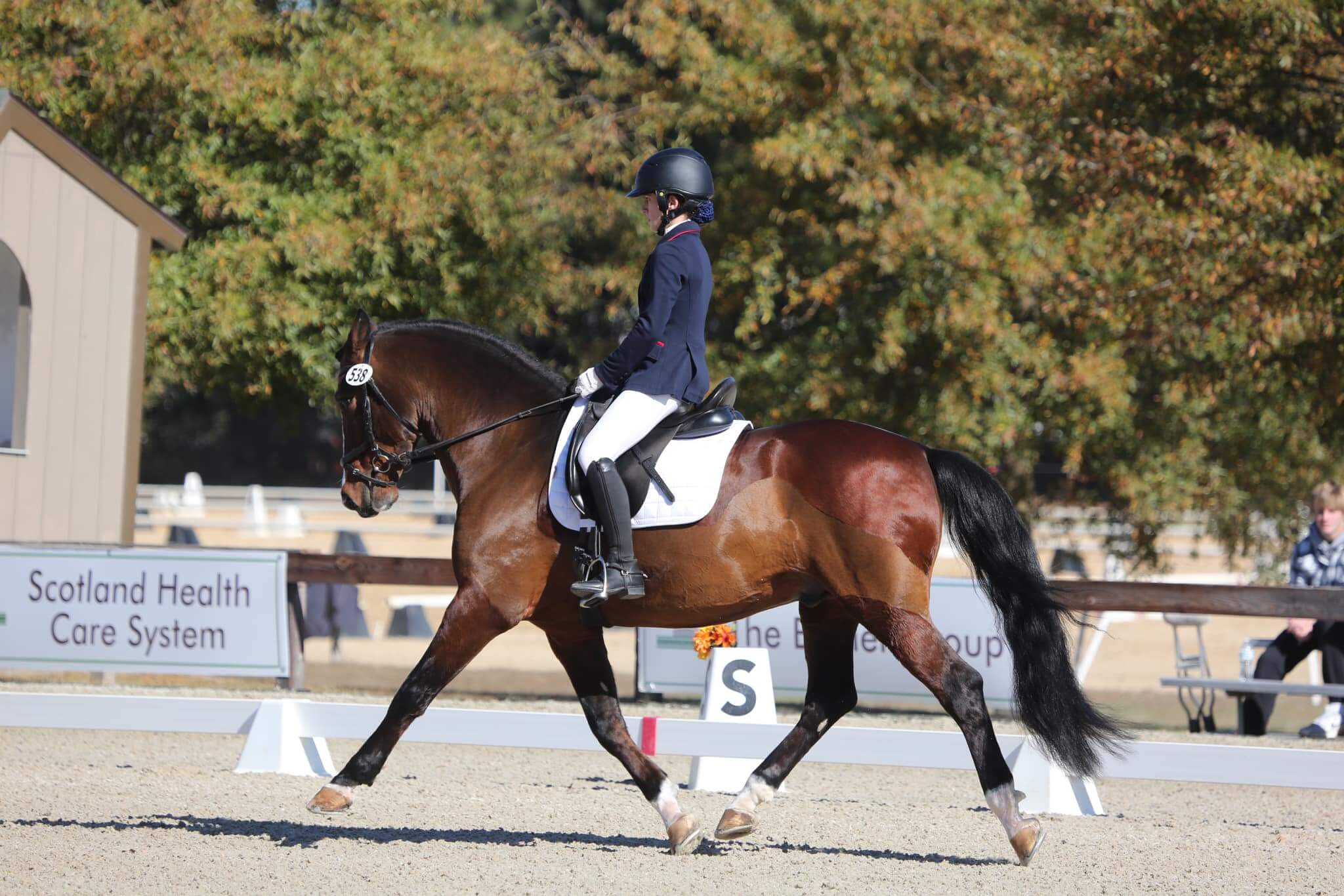 441044915_951386333445618_7644510701628731609_n