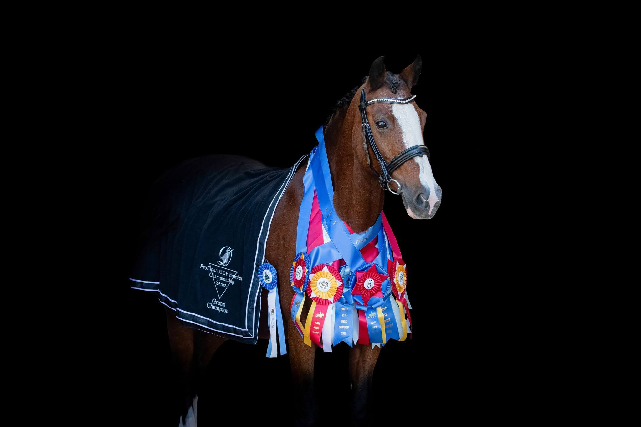 468407762_1089668302950753_653970009232884379_n