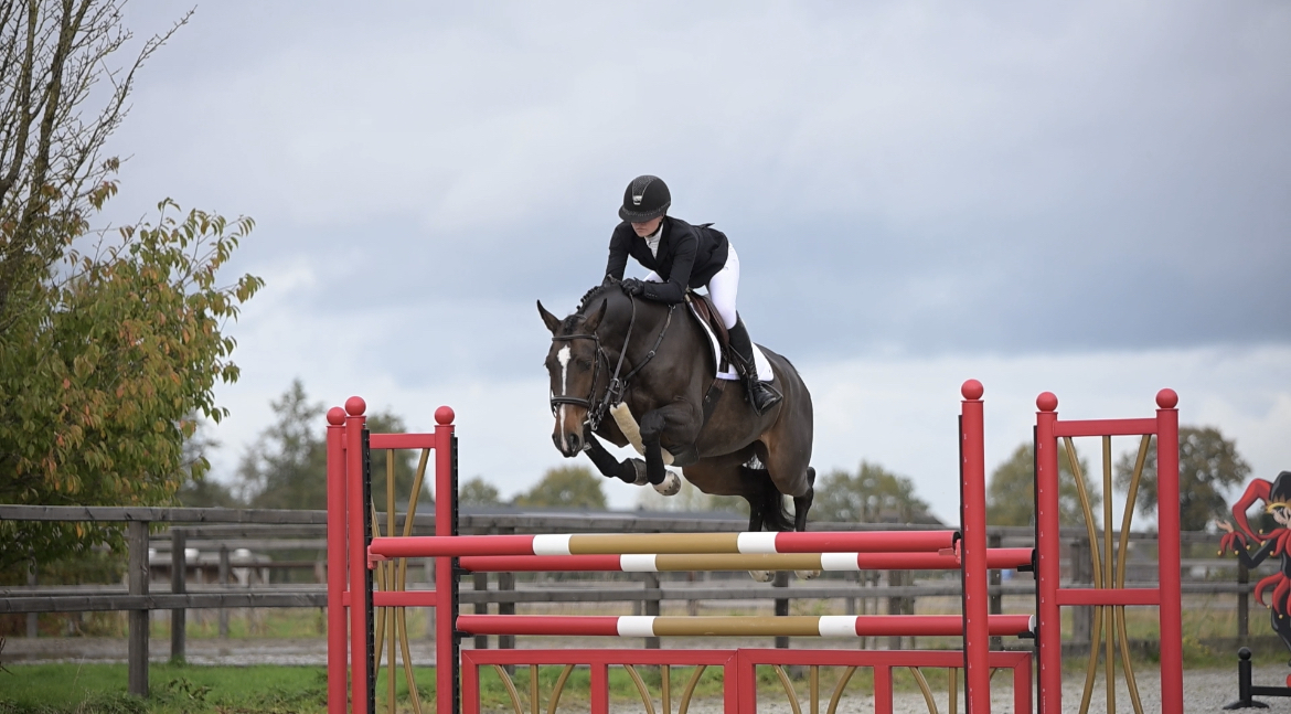 481AFF62-FB99-4C58-A446-7B0AB93FF14D