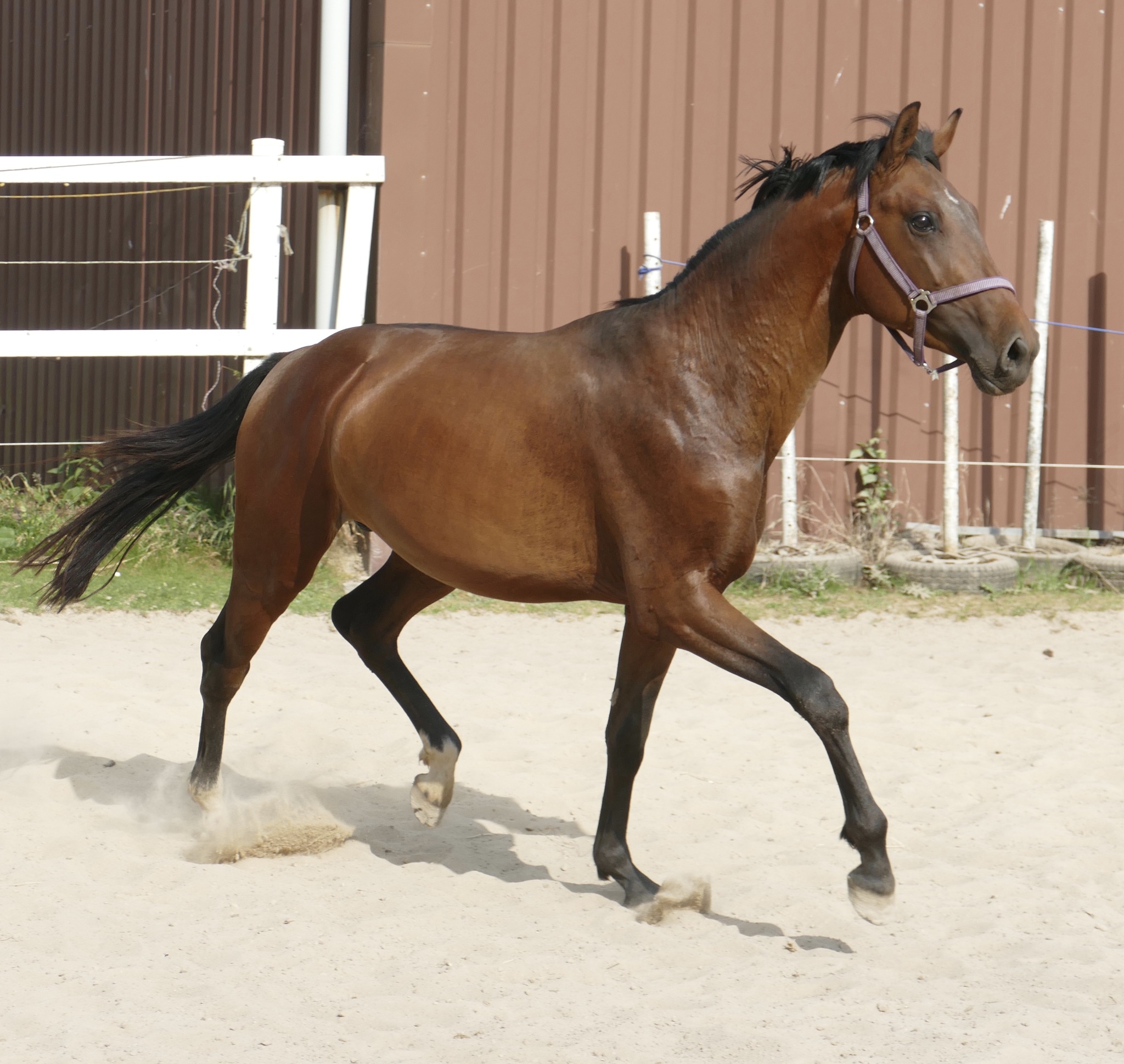 485300450_1142984670957229_811805226184467056_n