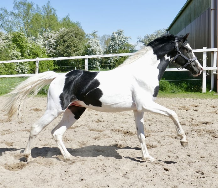 485309764_1142518001003896_1370914882812620747_n