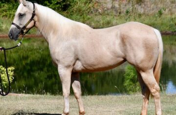 491836023_10228843801626001_5571415963589891075_n