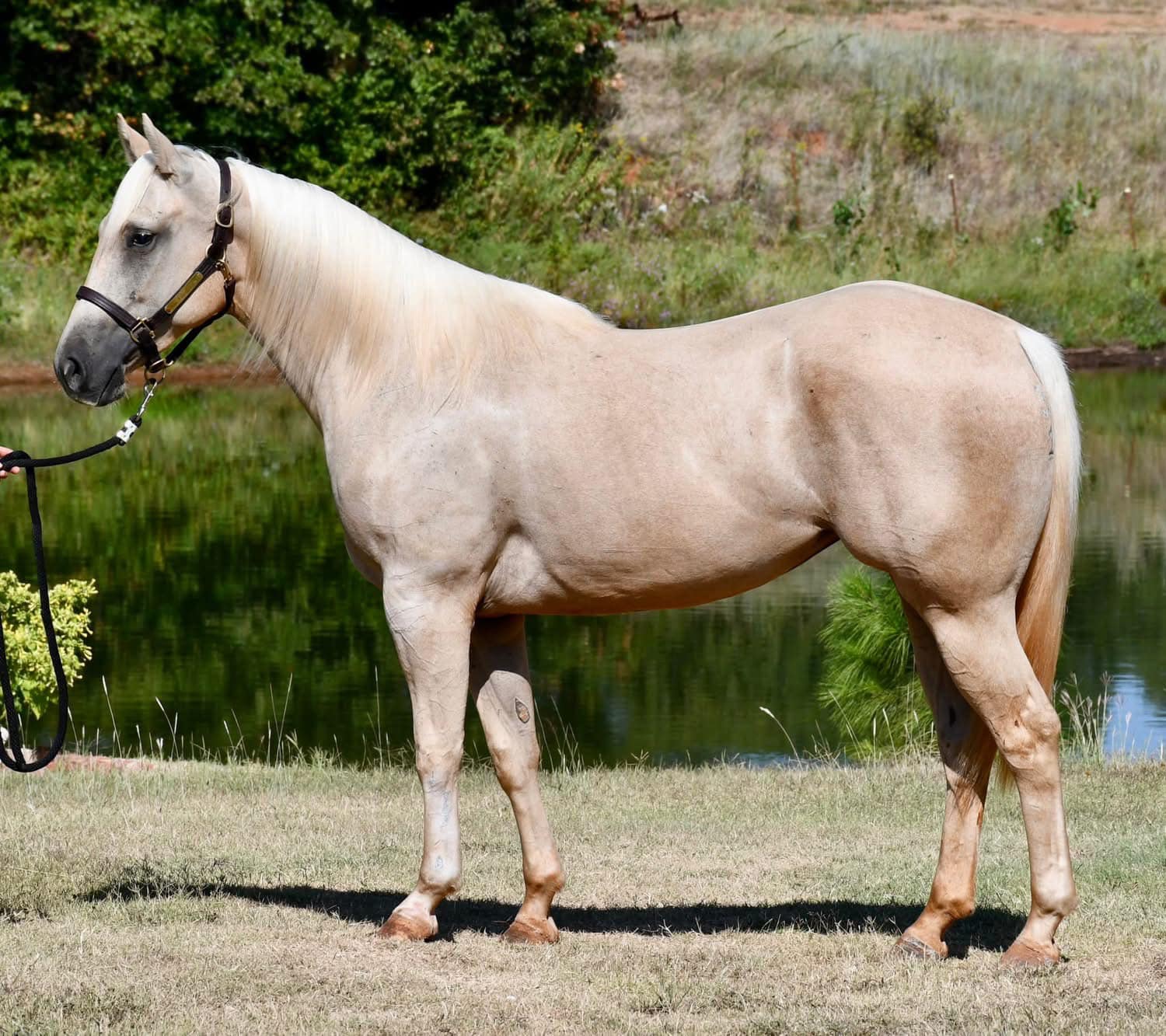 491836023_10228843801626001_5571415963589891075_n