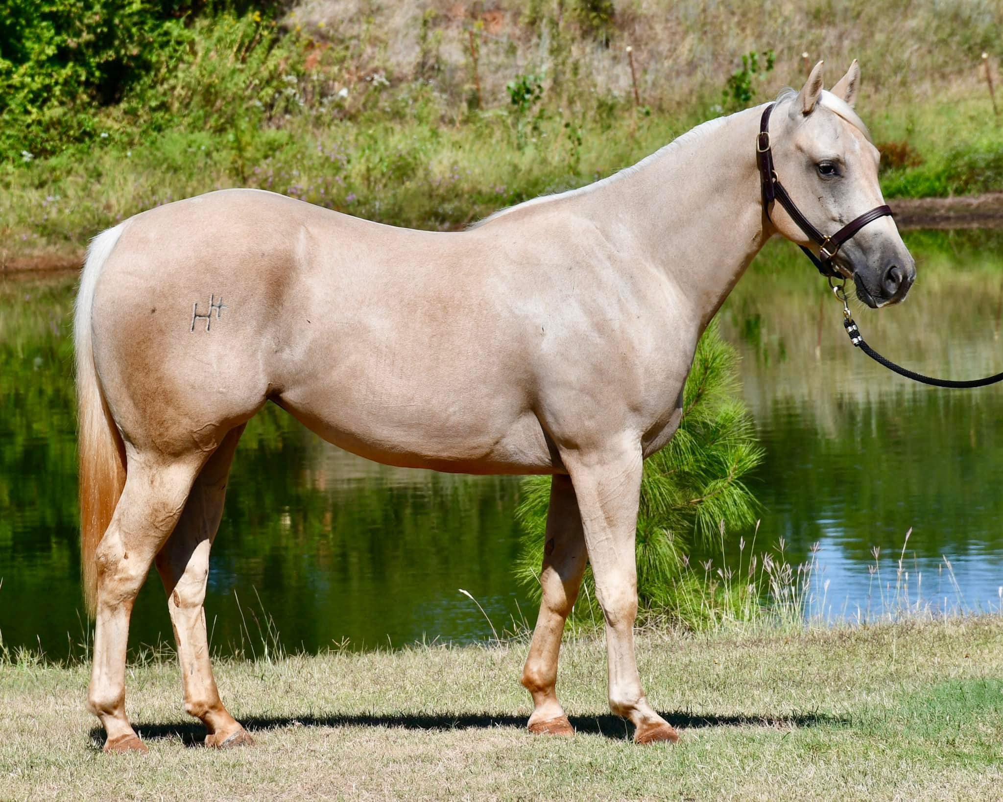 492005792_10228843802186015_1929618044828939232_n