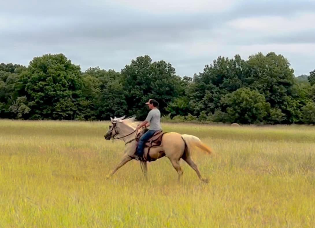 492072896_10228843802866032_9083562047213950266_n