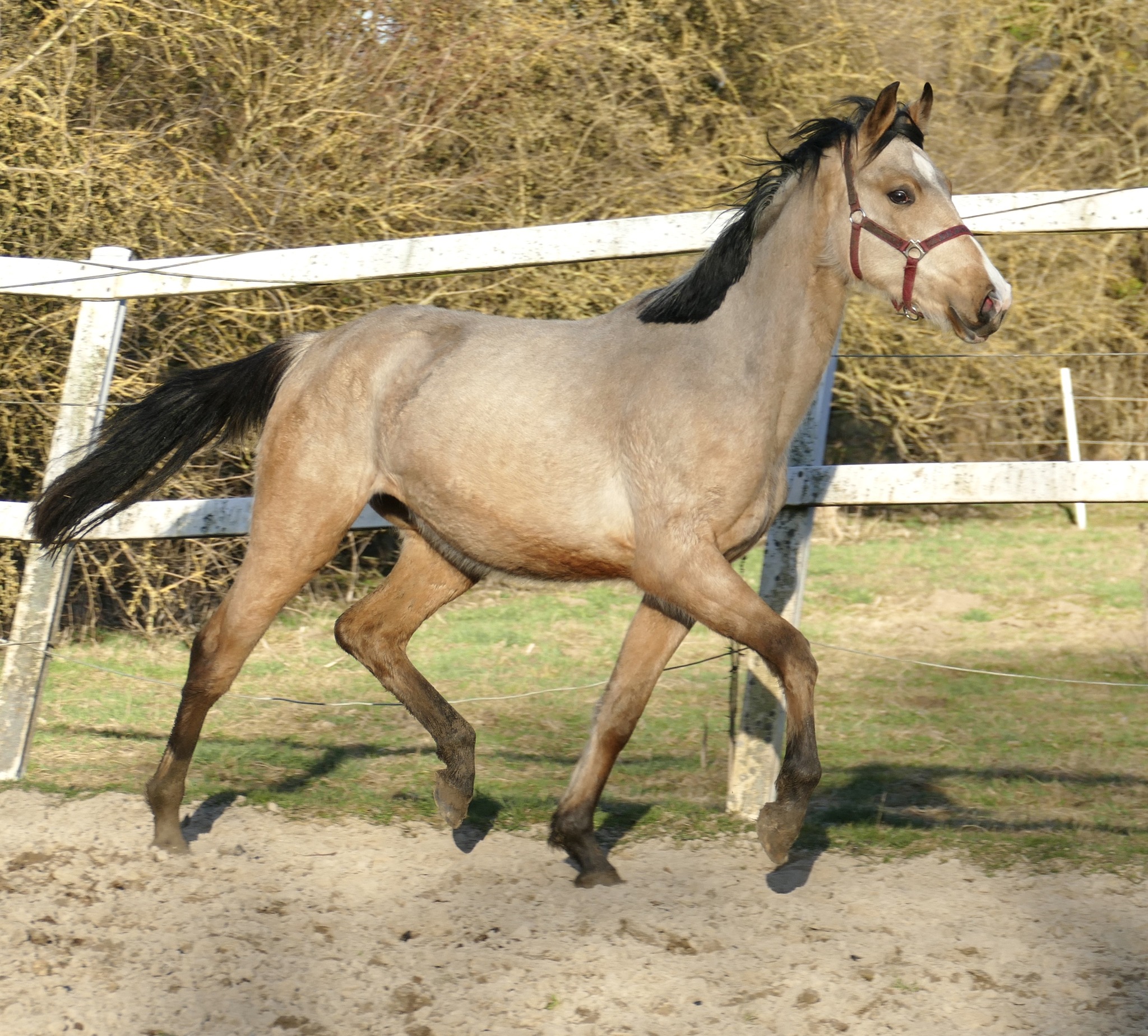 492084568_1163667322222297_8593868913993777242_n