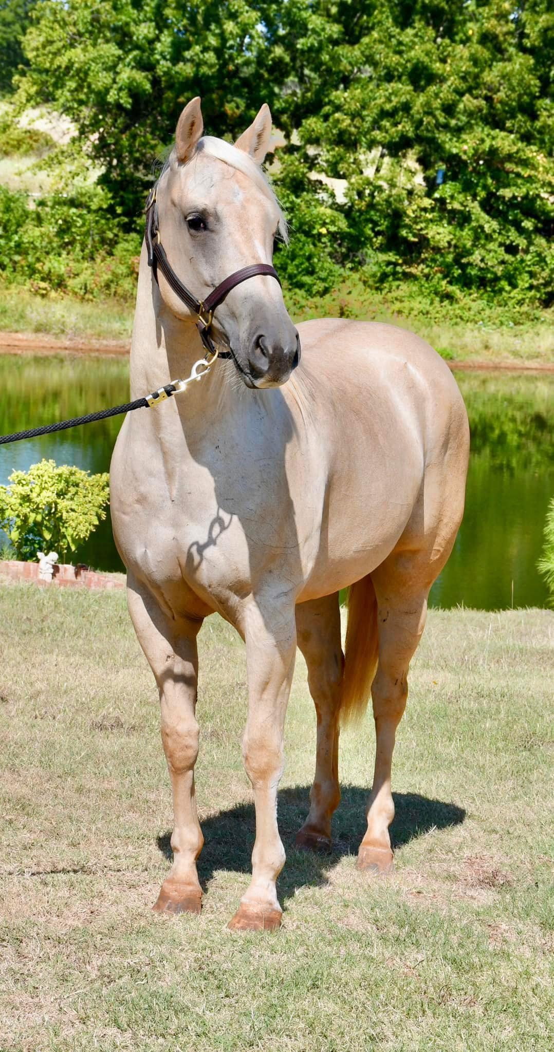 492129006_10228843801746004_7337535034863645329_n