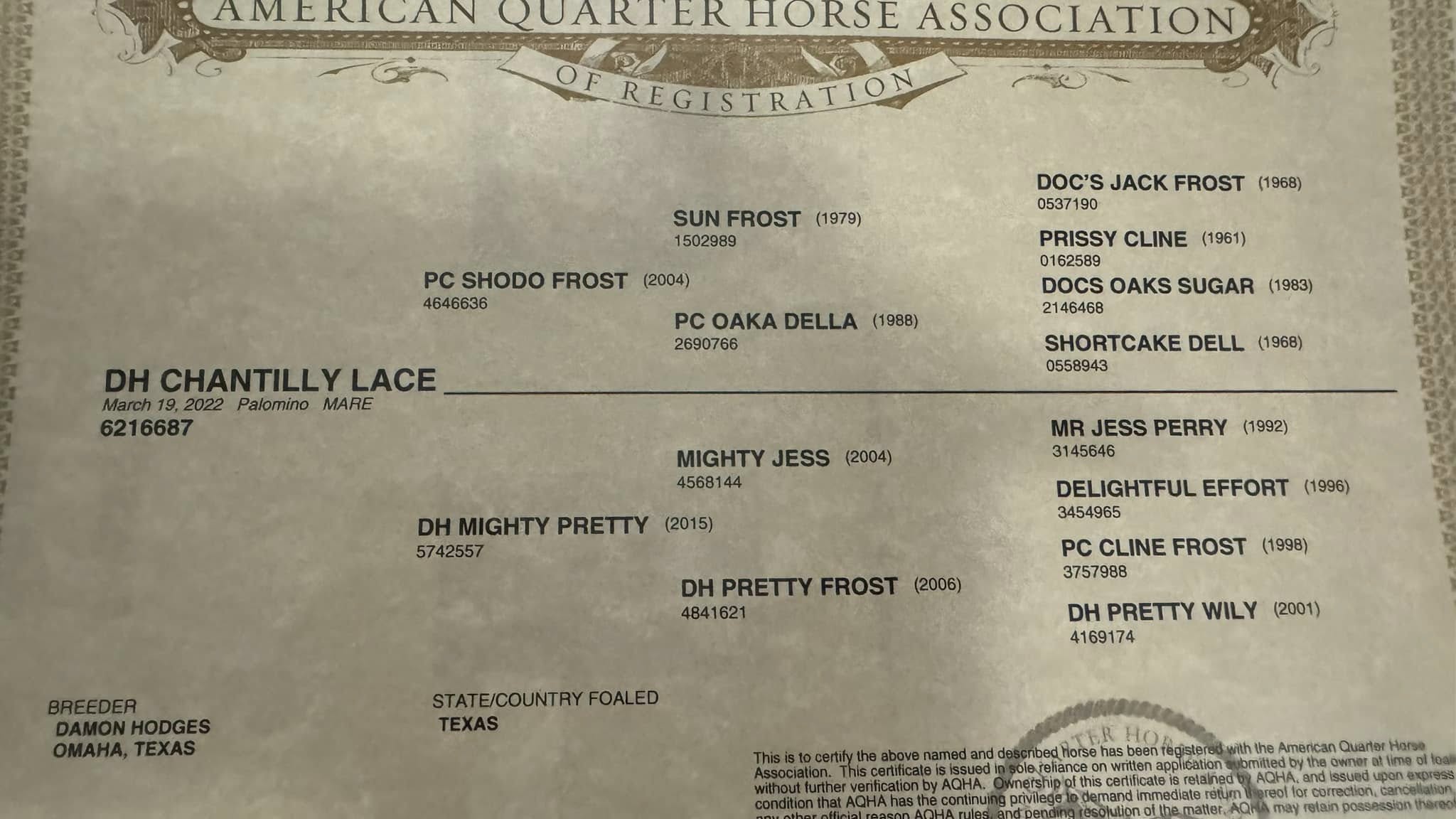 492215878_10228843802266017_2403922686249568820_n