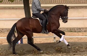 510663948_122136627758733215_7289039616890024259_n