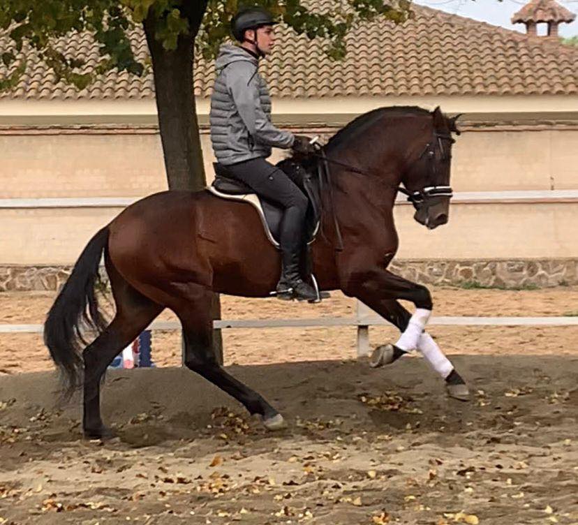 510663948_122136627758733215_7289039616890024259_n