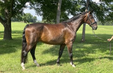 518393737_1047365267604413_1861043419656044239_n