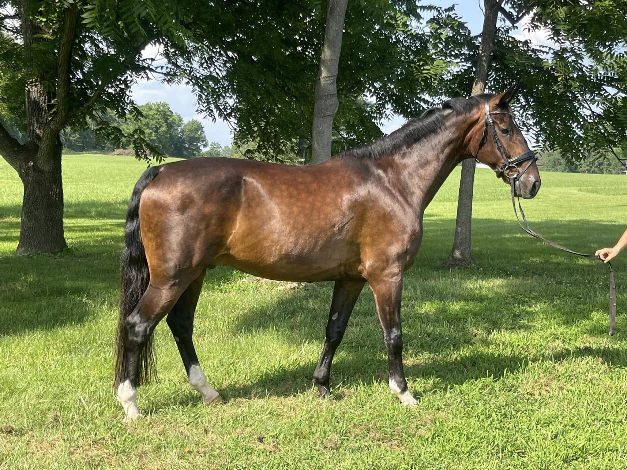 518393737_1047365267604413_1861043419656044239_n