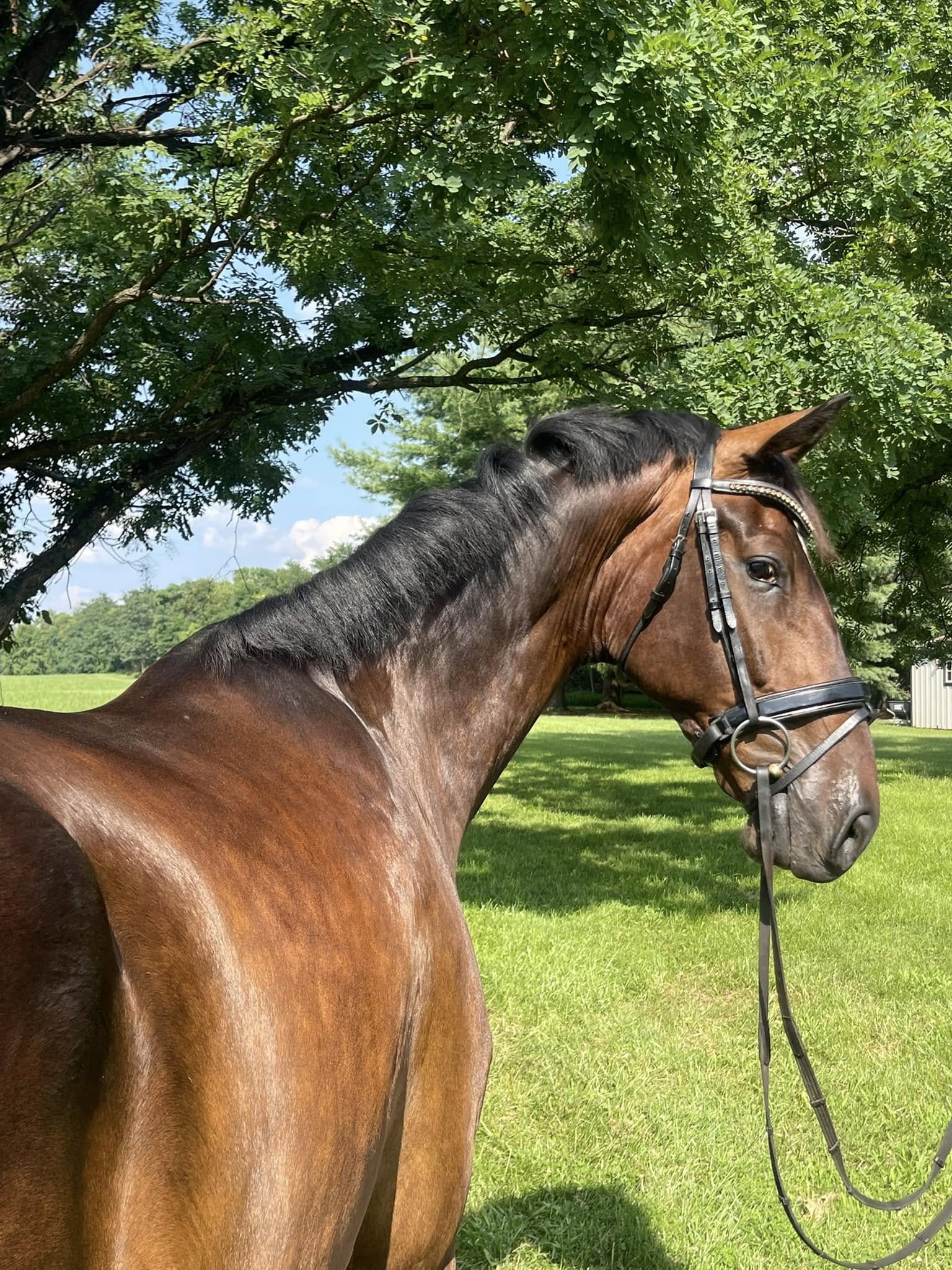 521212298_1047365317604408_5084047311993113172_n