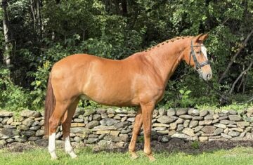 540948366_1076778911329715_360976497463537460_n