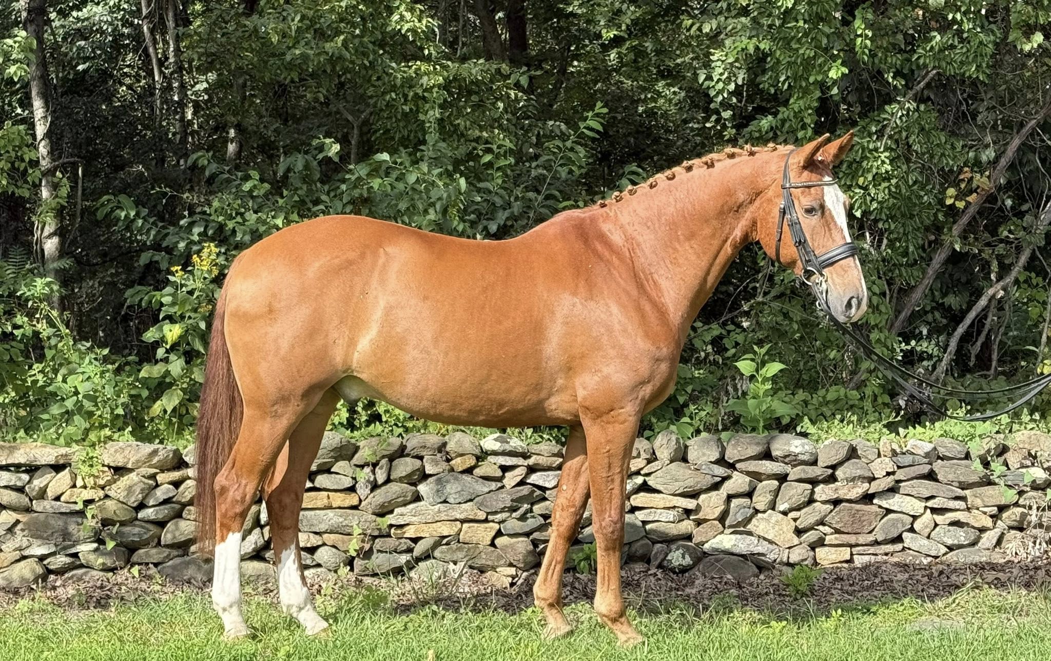 540948366_1076778911329715_360976497463537460_n