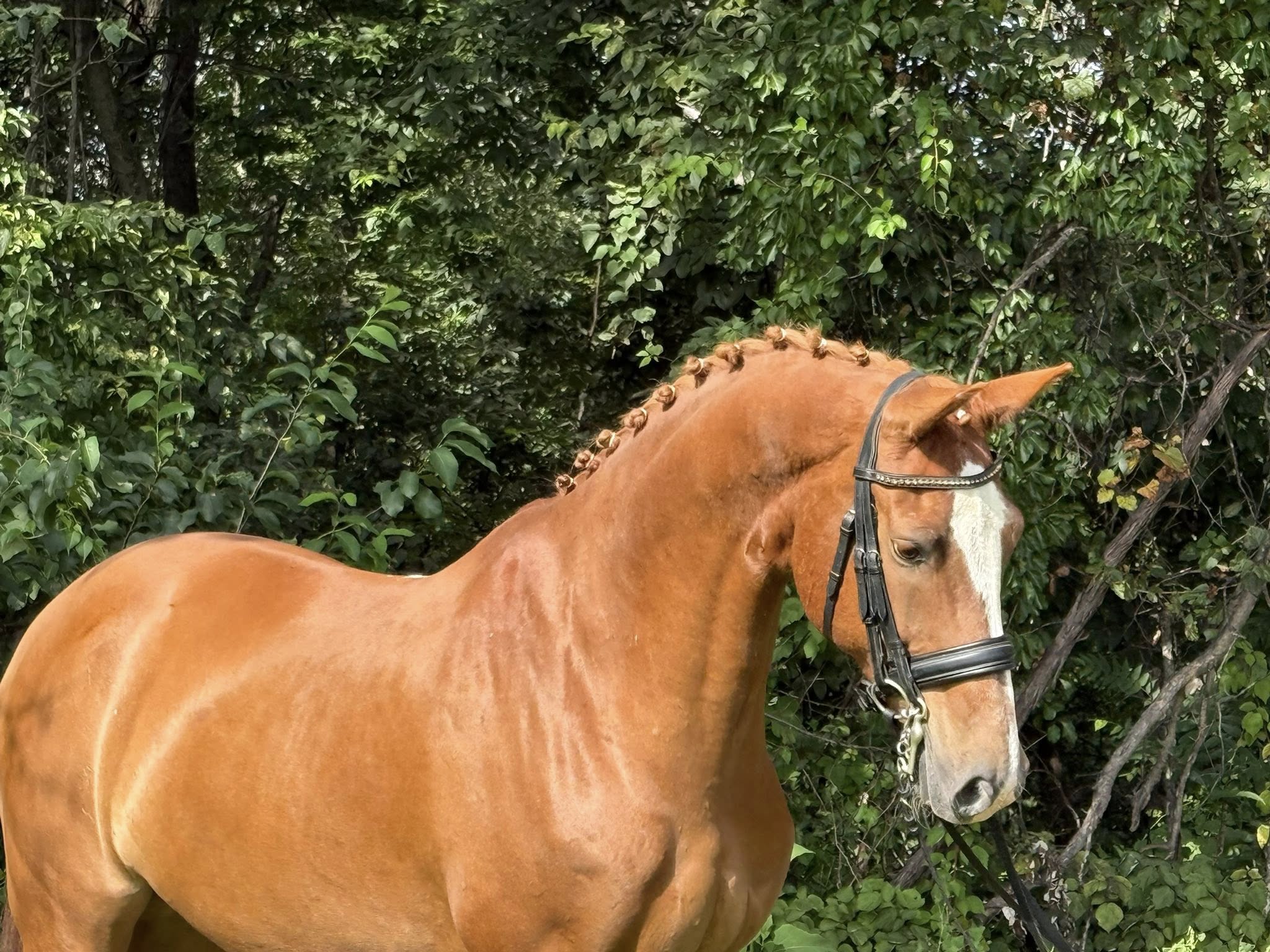 541042944_1076778897996383_2598946549361887715_n