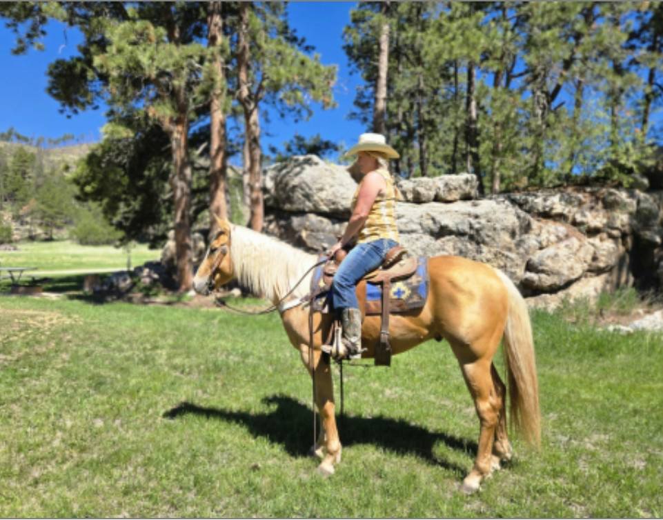 543374515_122093832363016666_1022737582626857657_n