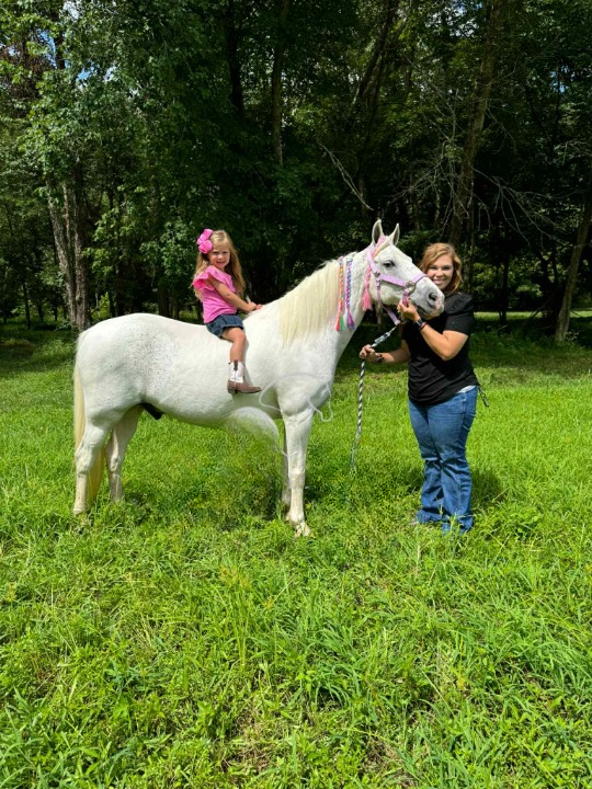 65bf0c1c-0b35-4522-a30e-7ed82531e2da_cleanup