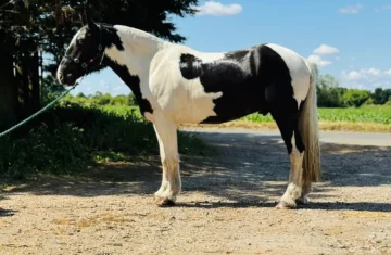 7a810924-eaf9-4c16-8de3-b24ba6f96f93-lg@1x